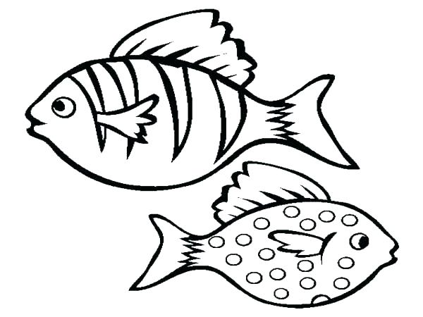600x450 Coloring Pages Of Fish Puffer Fish Coloring Page Fish Coloring