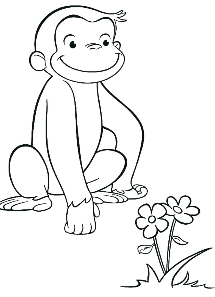 Puffin Coloring Page Puffin Coloring Page Coloring Page Puffin 728x1006 Puffin Coloring Page Puffin Coloring Page Coloring Page Puffin