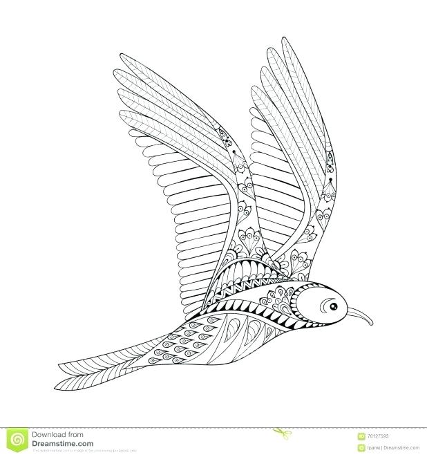 Seagull Coloring Page Puffin Coloring Page Puffin Rock Seagull 618x661 Seagull Coloring Page Puffin Coloring Page Puffin Rock Seagull
