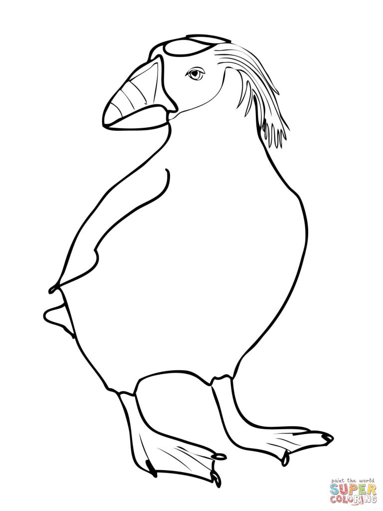 Download Tufted Puffin Coloring Page 768x1024 Download Tufted Puffin Coloring Page