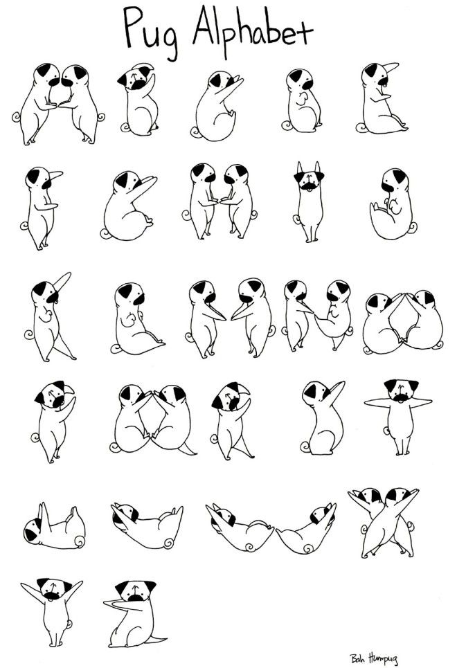 660x965 Pug Coloring Pages To Print Little Ones Printing