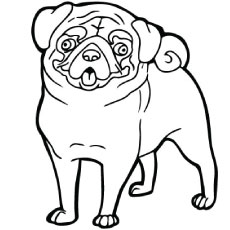 230x230 Pug Coloring Pages Top 25 Free Printable Dog Online