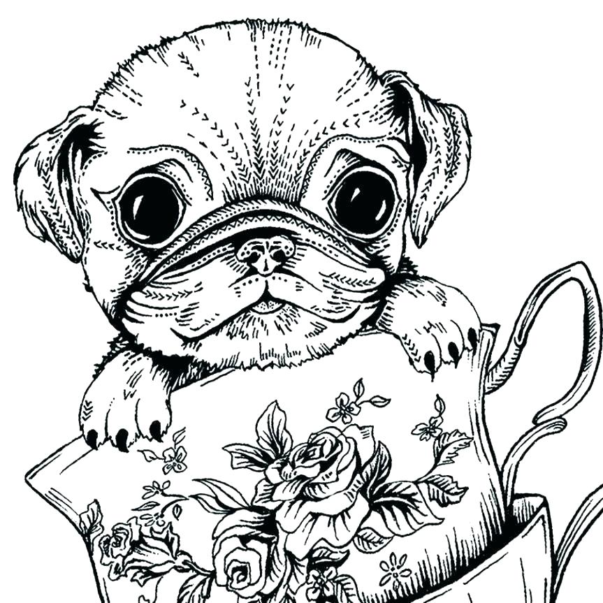 863x863 Pug Coloring Pictures Coloring Pages For Boys