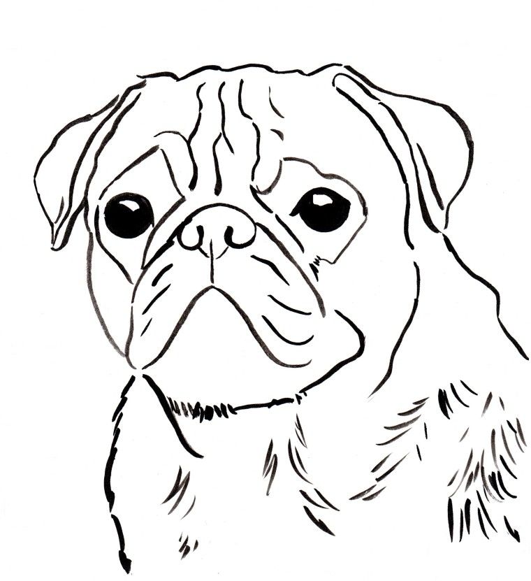 760x831 Pug Coloring Pages To Download And Print For Free Pug Template