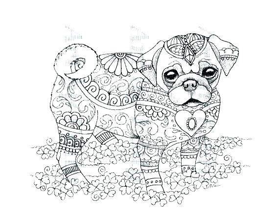 570x438 Pug Coloring Page
