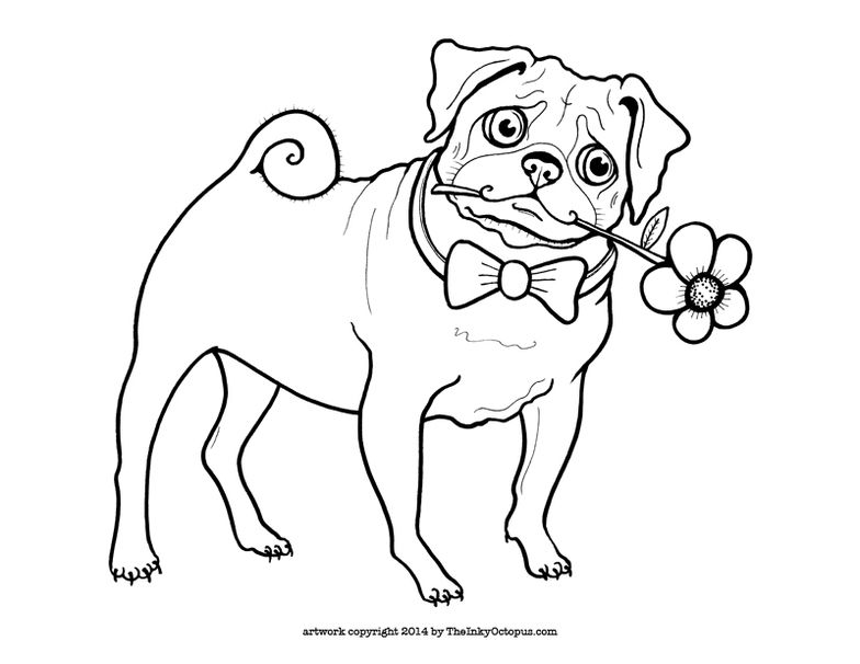 784x606 Cute Printable Pug Coloring Page By The Inky Octopus. Visit