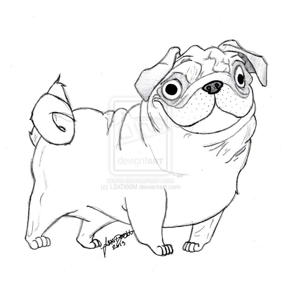 894x894 Cute Pug Coloring Pages Stylist Ideas Printabl