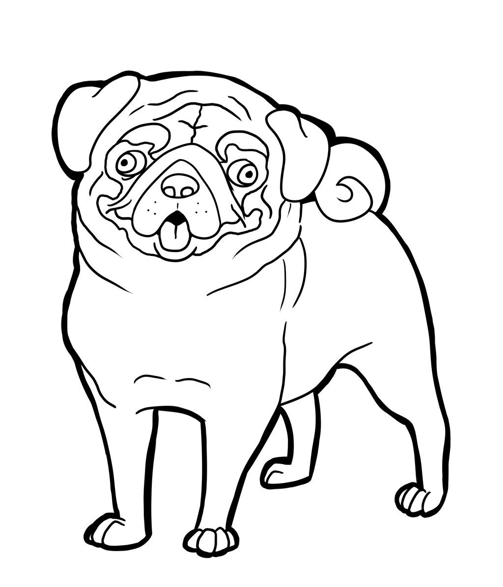 1024x1195 Pug Dog Coloring Pages