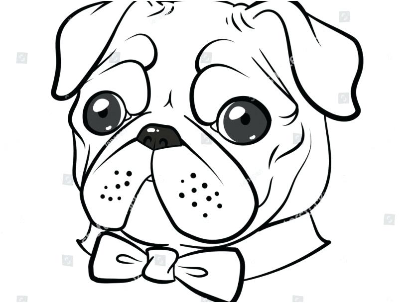 Pug Coloring Pages Pug Coloring Pages Pug Coloring Pages Pug Puppy 827x609 Pug Coloring Pages Pug Coloring Pages Pug Coloring Pages Pug Puppy