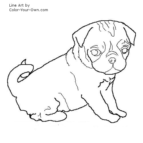 Pug Puppy Coloring Page 500x500 Pug Puppy Coloring Page