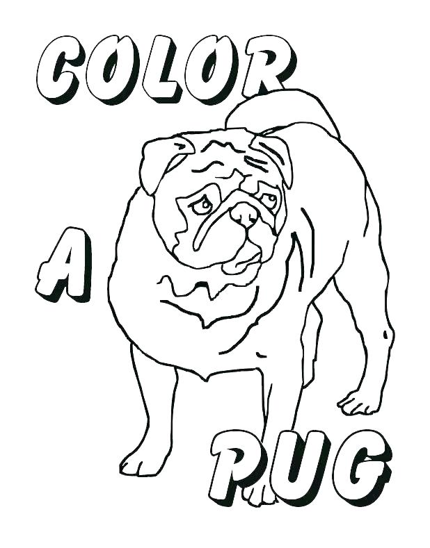 Pug Puppy Coloring Pages Kids Coloring Pug Coloring Pages Pug 618x789 Pug Puppy Coloring Pages Kids Coloring Pug Coloring Pages Pug
