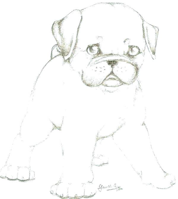 Pugs Coloring Pages Pug Coloring Pages Free Coloring Pug Puppy 600x671 Pugs Coloring Pages Pug Coloring Pages Free Coloring Pug Puppy