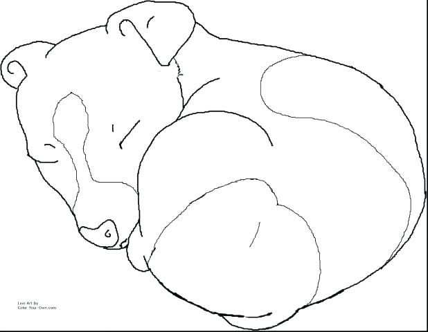 Sly Cooper Coloring Pages Pug Coloring Pages In Addition 618x480 Sly Cooper Coloring Pages Pug Coloring Pages In Addition