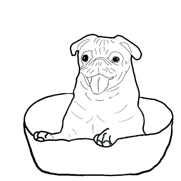 Pug Coloring Page Pug Coloring Pages Pug Coloring Page Pug Is 600x600 Pug Coloring Page Pug Coloring Pages Pug Coloring Page Pug Is