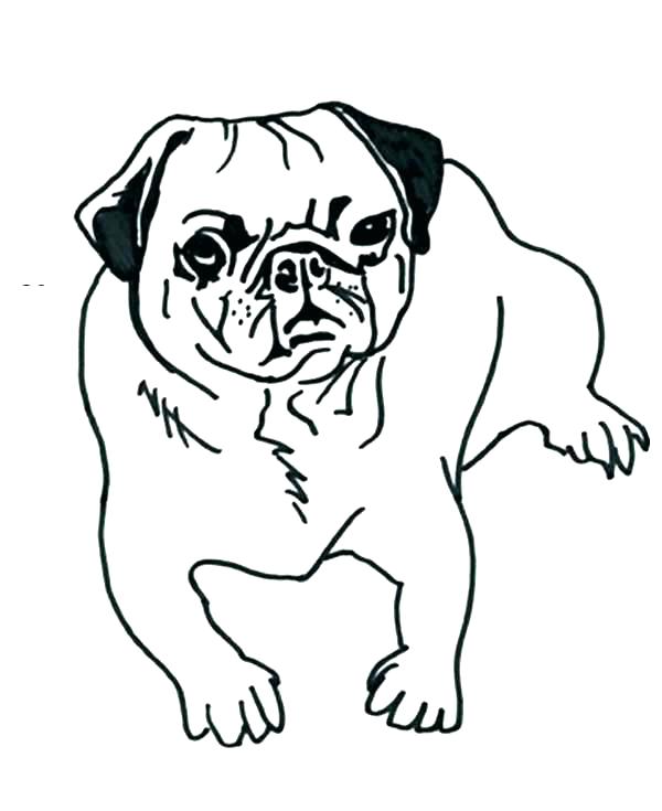 Pug Coloring Pages Amazing Pug Coloring Pages Best Of Art Single 600x735 Pug Coloring Pages Amazing Pug Coloring Pages Best Of Art Single