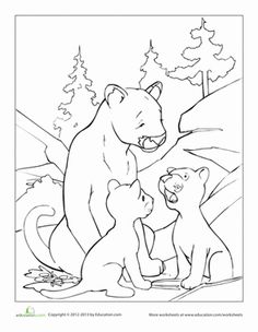 236x304 Page Mountain Lion