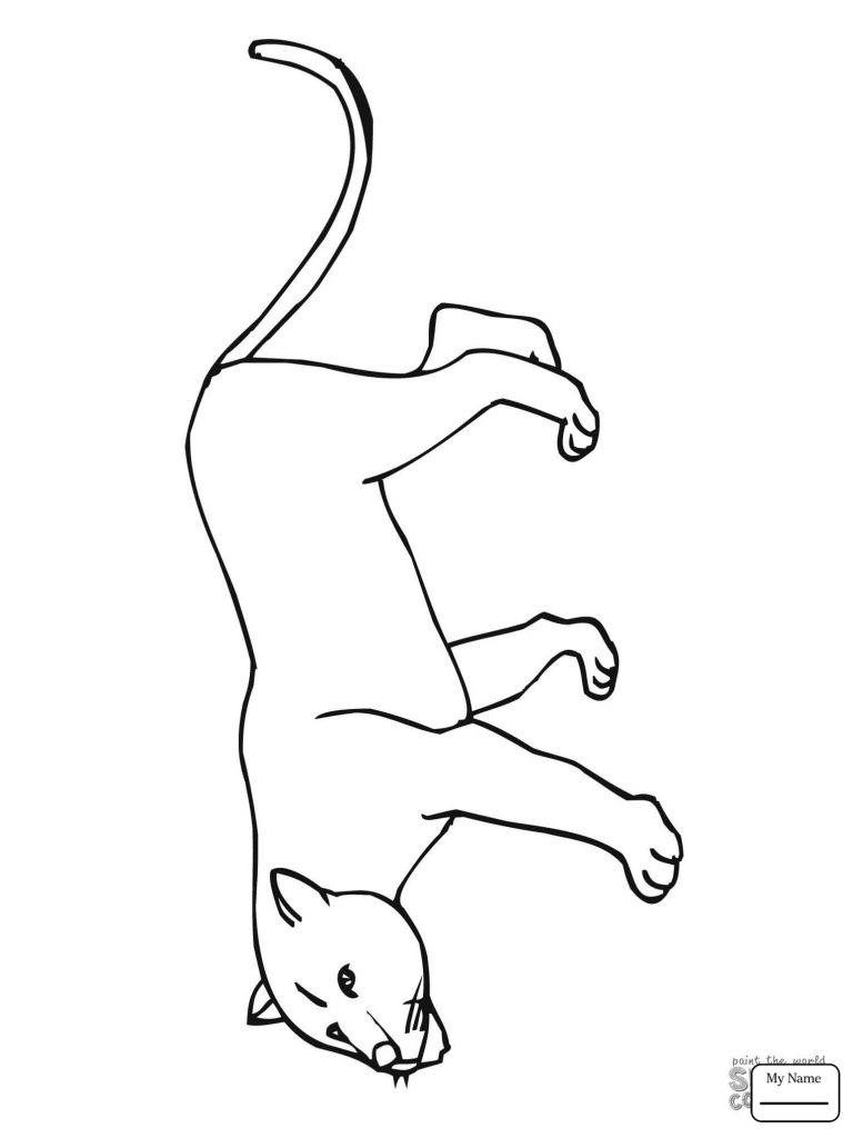 768x1024 Coloring Pages For Mountain Lions Fresh Best Of Cougar Mammals