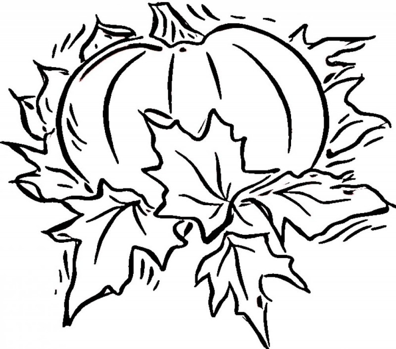 Blank Colouring Pages Free Printable Pumpkin Coloring Pages 800x706 Blank Colouring Pages Free Printable Pumpkin Coloring Pages