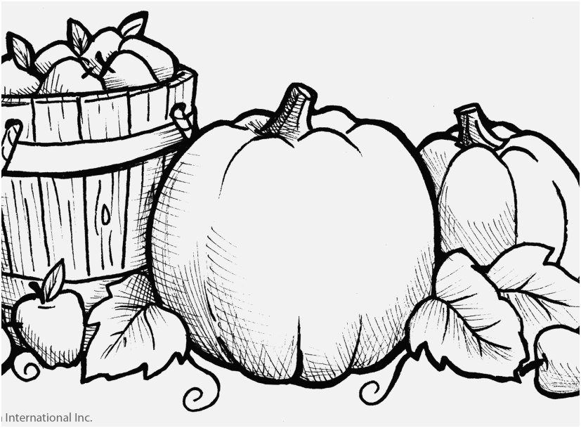 The Most Effective Footage Pumpkin Coloring Pages Memorable 827x609 The Most Effective Footage Pumpkin Coloring Pages Memorable