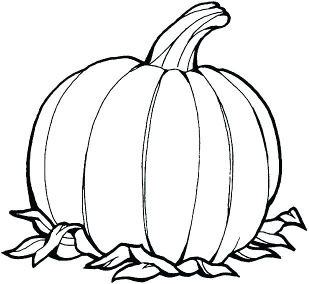618x568 Pumkin Coloring Pages Fun Pumpkin Coloring Pages Page Cute