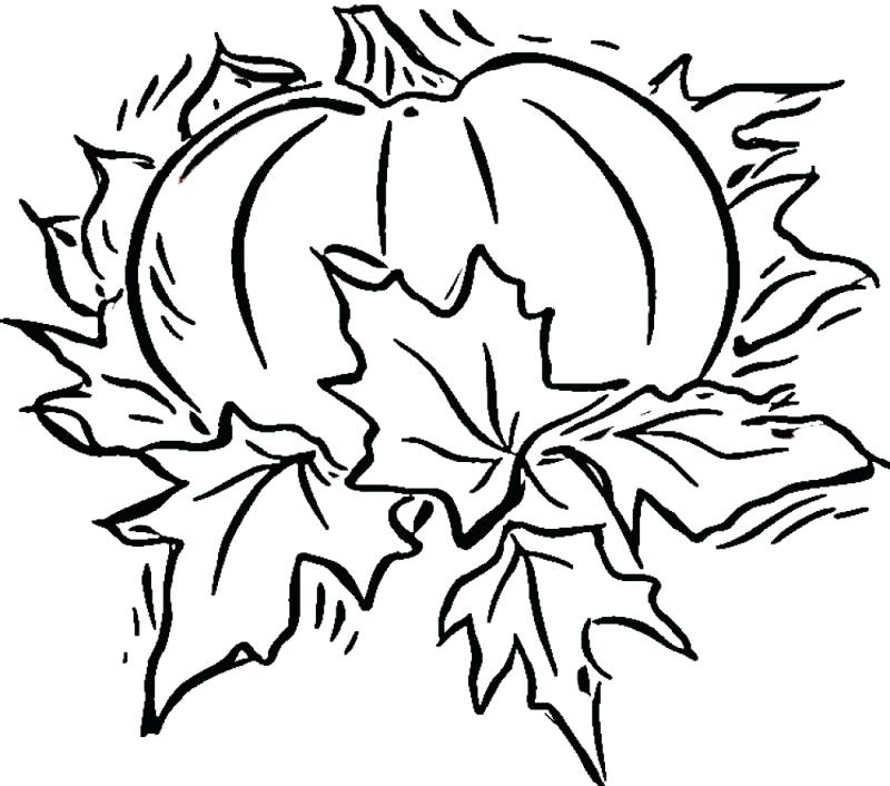 Pumpkin Coloring Pages For Kids Devon Creamteas 800x706 Pumpkin Coloring Pages For Kids Devon Creamteas