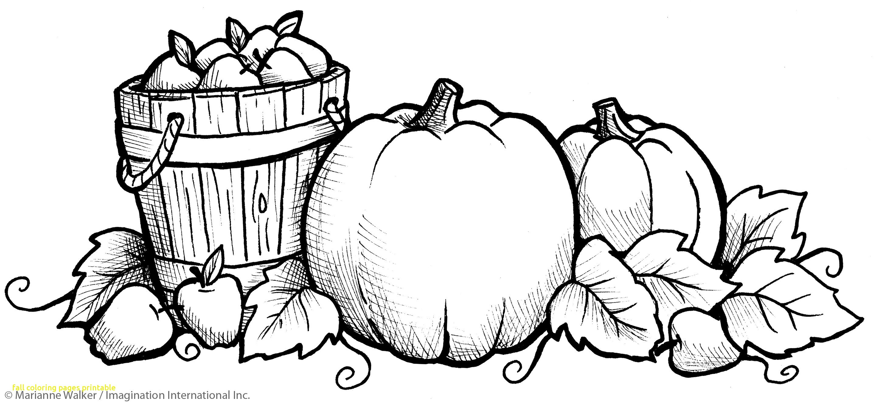 Pumpkin Color Words For Fall Kinderland Collaborative 2880x1332 Pumpkin Color Words For Fall Kinderland Collaborative