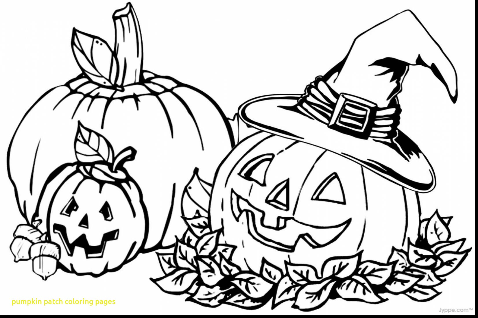 Pumpkin Patch Coloring Pages With Superb For Alluring Fall Sheets 1653x1100 Pumpkin Patch Coloring Pages With Superb For Alluring Fall Sheets