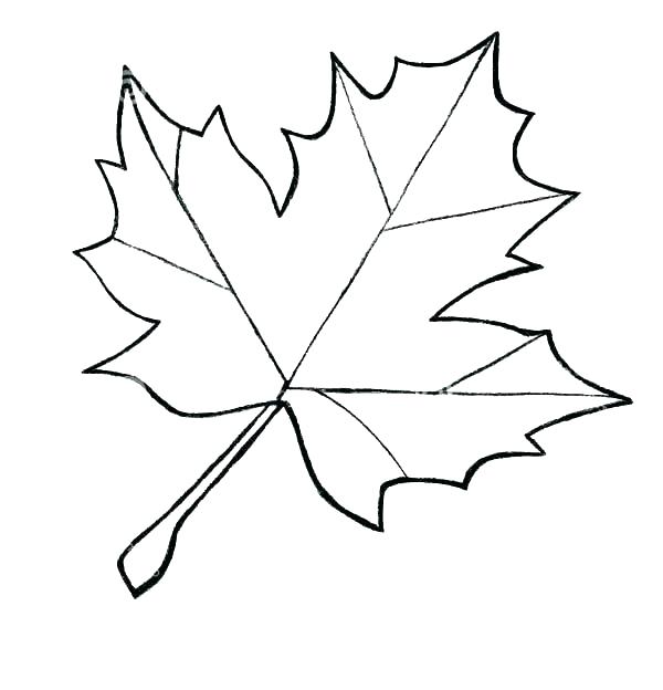 Pumpkin Leaves Coloring Pages at GetColorings.com | Free printable ...