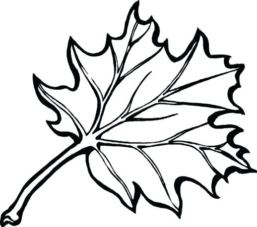 Pumpkin Leaves Coloring Pages at GetColorings.com | Free printable ...