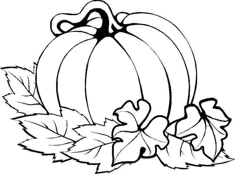 800x592 Coloring Pages Of Pumpkins To Print See Best Photos Of Pumpkin