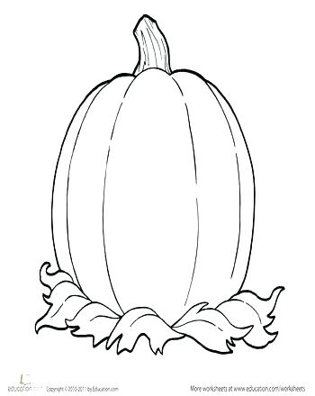 350x440 Coloring Pages Marvelous Outline Pumpkin Design Templates It