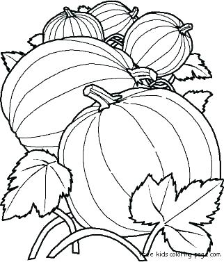 Pumpkin Patch Coloring Page Or Pumpkin Patch Coloring Page Pumpkin 322x377 Pumpkin Patch Coloring Page Or Pumpkin Patch Coloring Page Pumpkin