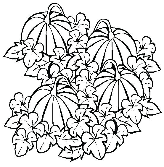 Pumpkin Patch Coloring Page Pumpkin Patch Coloring Pages Pumpkin 554x565 Pumpkin Patch Coloring Page Pumpkin Patch Coloring Pages Pumpkin