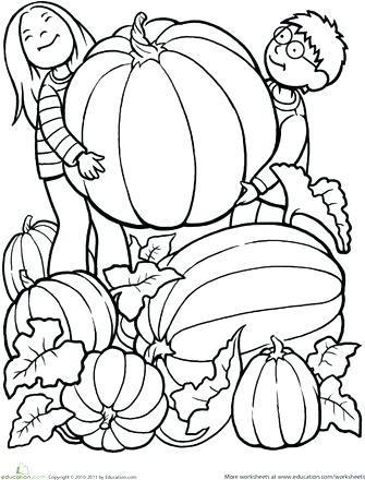 Pumpkin Patch Coloring Pages Fall Scarecrow And Pumpkins Coloring 335x440 Pumpkin Patch Coloring Pages Fall Scarecrow And Pumpkins Coloring