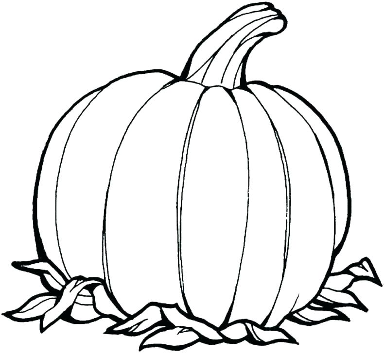 Pumpkin Coloring Pages Printable Pumpkin Coloring Pages Pumpkin 792x728 Pumpkin Coloring Pages Printable Pumpkin Coloring Pages Pumpkin