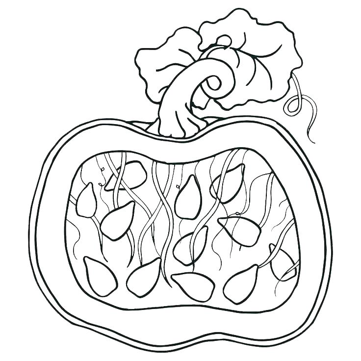 Pumpkin Coloring Pages Printable Pumpkin Patch Coloring Pages 736x736 Pumpkin Coloring Pages Printable Pumpkin Patch Coloring Pages