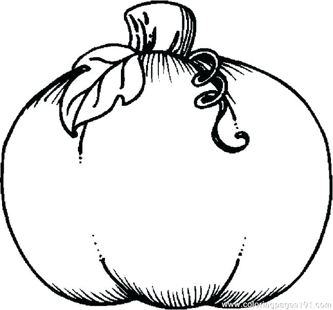 Pumpkin Patch Coloring Page Pumpkin Patch Coloring Pages Free 650x606 Pumpkin Patch Coloring Page Pumpkin Patch Coloring Pages Free
