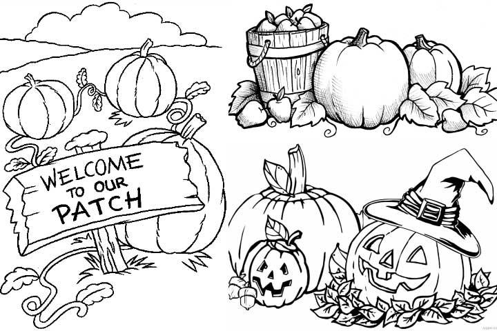 Pumpkin Patch Coloring Pages 720x480 Pumpkin Patch Coloring Pages