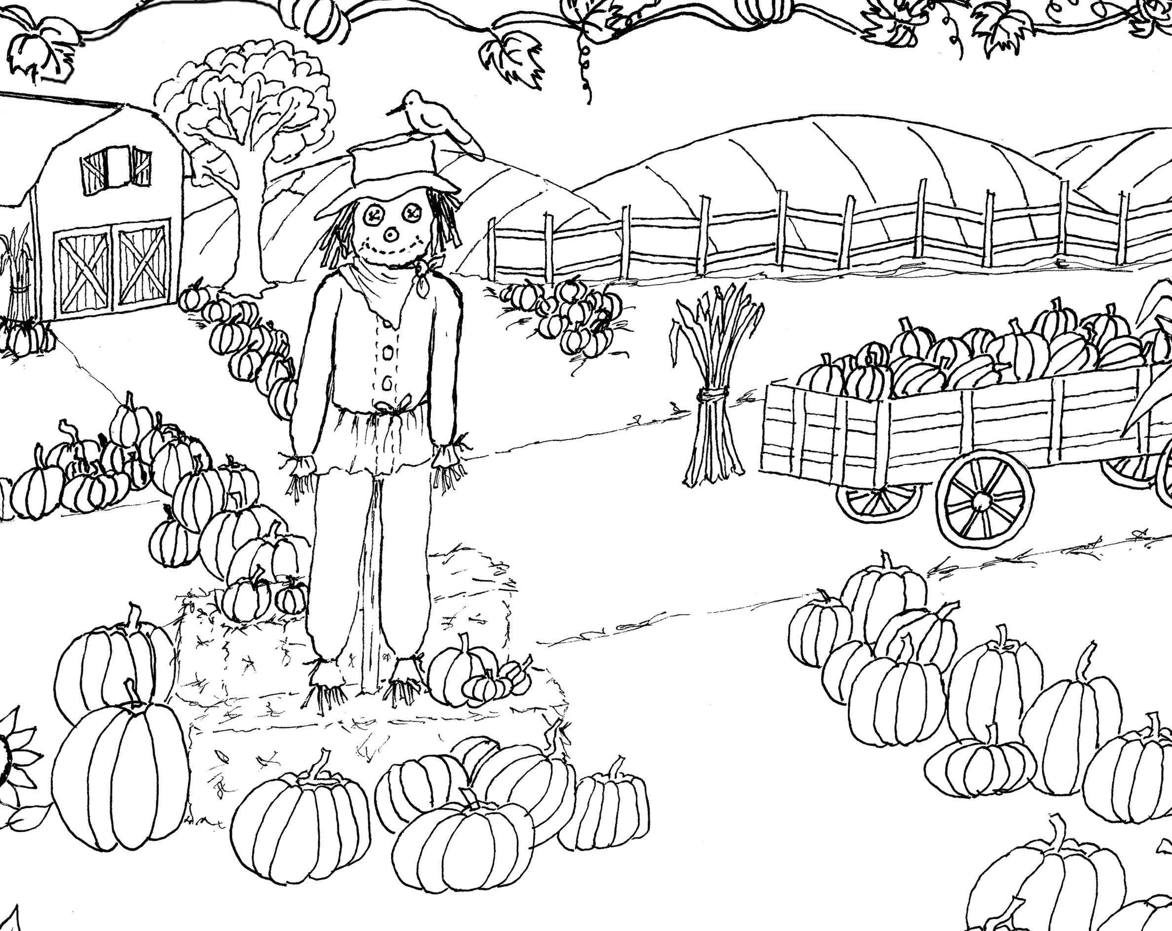 Pumpkin Patch Coloring Pages Sunglassesray 2376x1888 Pumpkin Patch Coloring Pages Sunglassesray