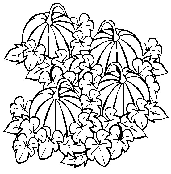 Pumpkin Patch Halloween Coloring Pictures Intended For Pages Plans 554x565 Pumpkin Patch Halloween Coloring Pictures Intended For Pages Plans