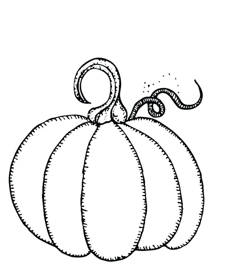 Free Pumpkin Coloring Pages Free Printable Pumpkins Coloring Pages 765x886 Free Pumpkin Coloring Pages Free Printable Pumpkins Coloring Pages
