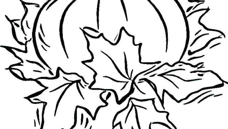 Pumpkin Coloring Pages Free Printable Pumpkin Patch Coloring Pages 750x425 Pumpkin Coloring Pages Free Printable Pumpkin Patch Coloring Pages
