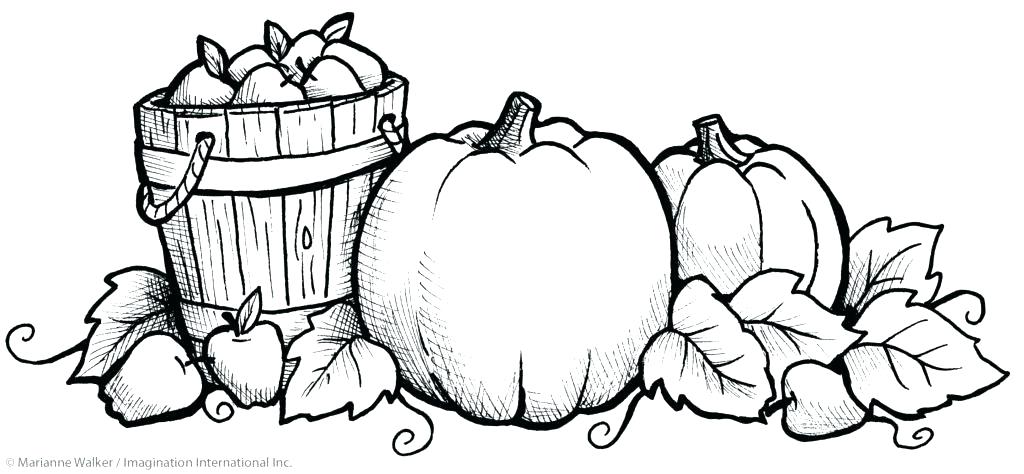 Pumpkin Coloring Pages Free Pumpkin Coloring Pages To Print 1024x474 Pumpkin Coloring Pages Free Pumpkin Coloring Pages To Print