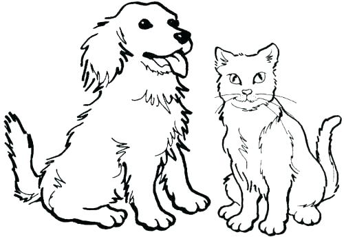 500x344 Kittens Coloring Pages Puppies And Puppy Kitten Christmas