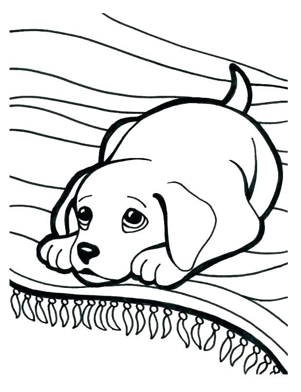618x806 Puppy And Kitten Coloring Pages Kittens And Puppies Coloring Pages
