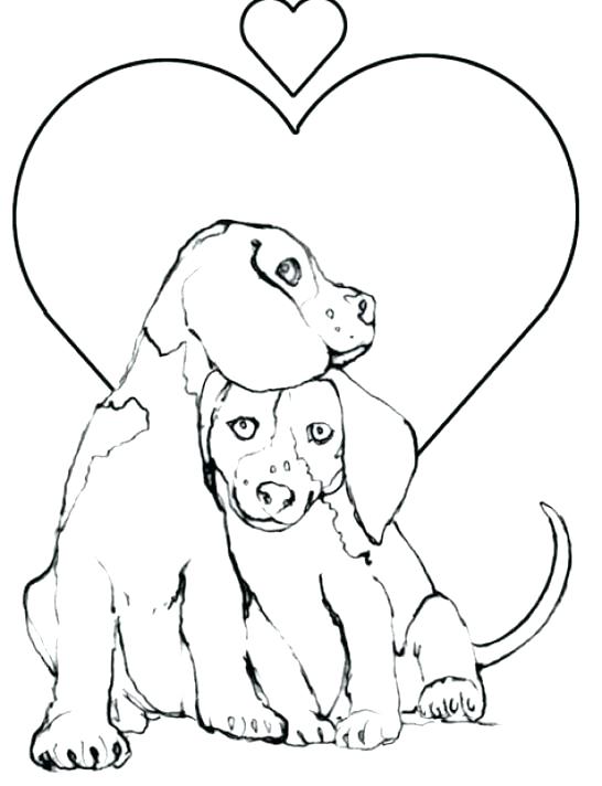 546x712 Coloring Pages Of Cute Puppies And Kittens Coloring Pages Of Cute
