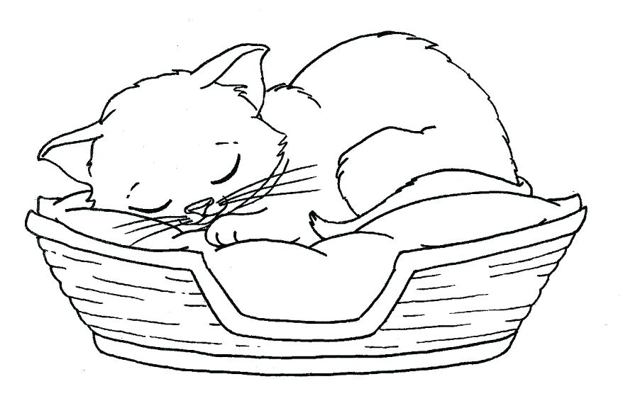 878x559 Kitten Color Pages Kittens Puppies Coloring Pages Funny