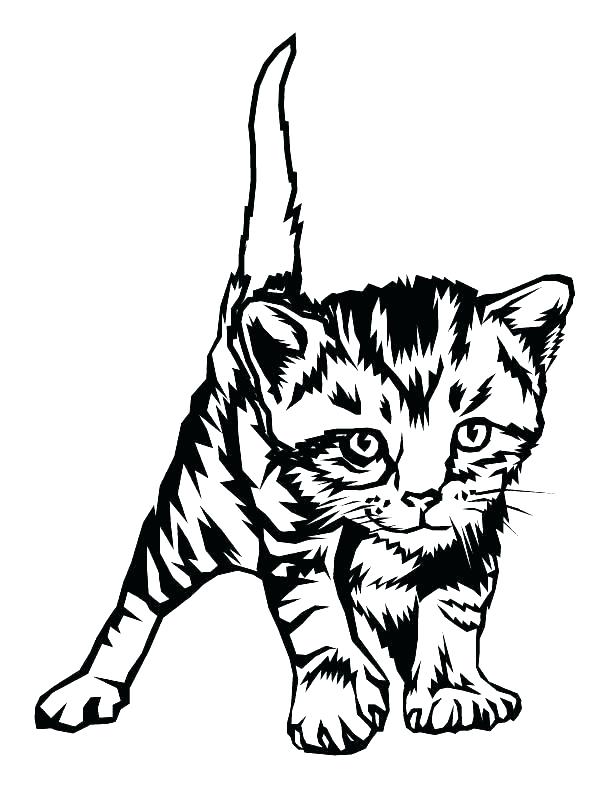 612x793 Puppy And Kitten Coloring Pages Images Coloring Pages Kittens