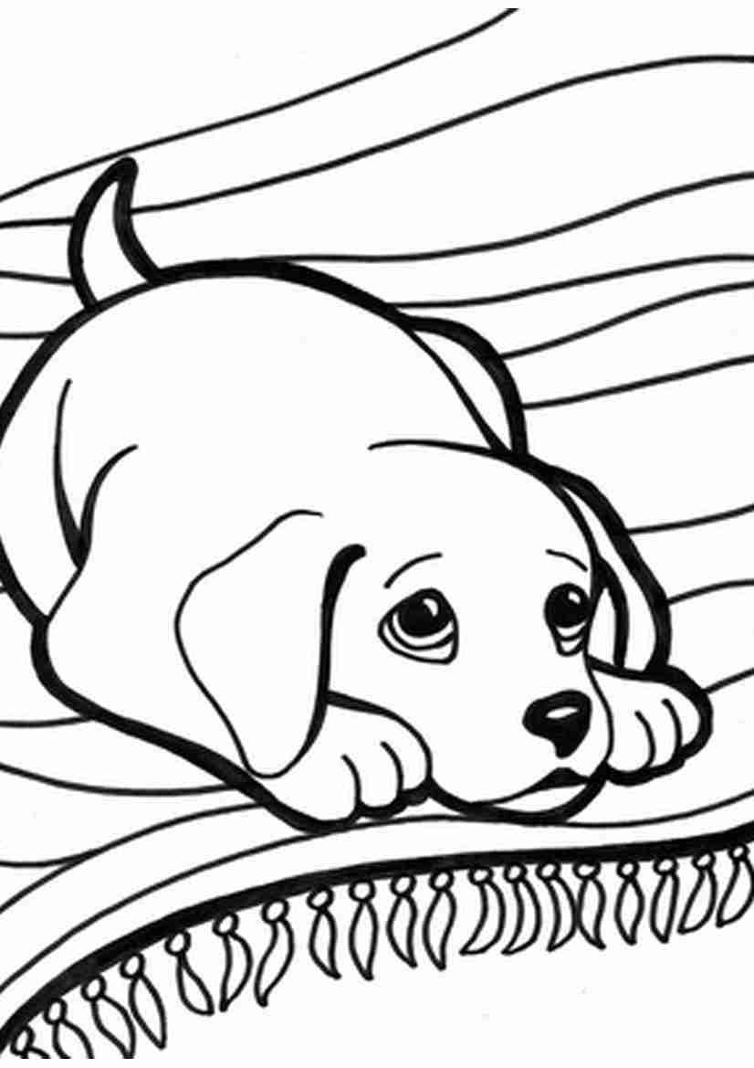 Puppy And Kitten Coloring Pages 826x1169 Puppy And Kitten Coloring Pages