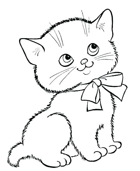 Puppy And Kitty Coloring Pages Coloring Pages Of Kittens Kitten 449x547 Puppy And Kitty Coloring Pages Coloring Pages Of Kittens Kitten